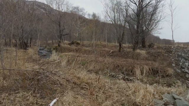 Едем в Александровск-Сахалинский, бывшую столицу Сахалина. Самый высокий водопад. Медвежий Мыс. Ч.2 смотреть онлайн