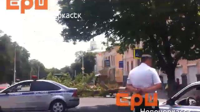 В Новочеркасске на проезжую часть центральной улицы упало дерево смотреть онлайн
