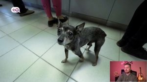 Обмен жёнами - Свободные отношения