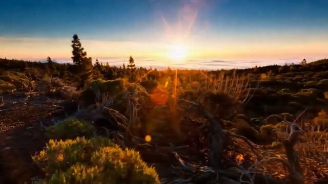 Простые способы очистить организм от «залежей» соли — Статья смотреть онлайн