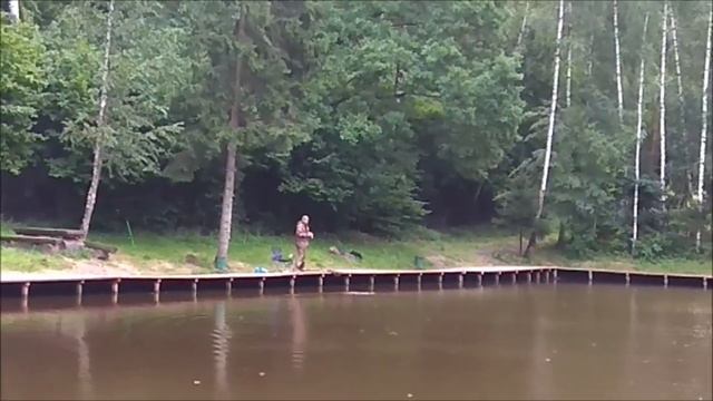 Обзор приманок, на которые соблазнилась форель. смотреть онлайн