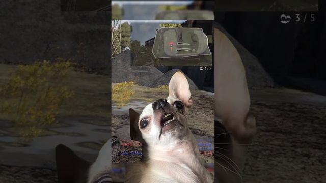 Pz.Bef.Wg.VI и Одни КВ war thunder смотреть онлайн