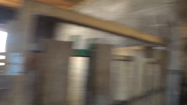 Кормлю телят . Премикс . Пытался пожаловаться на коров . смотреть онлайн