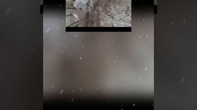 Ieva zasimauskaitė - when we're old _Russian Translate_ смотреть онлайн