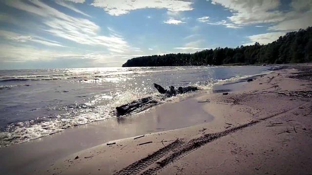 Семейный Ужин на берегу Ладожского озера... смотреть онлайн