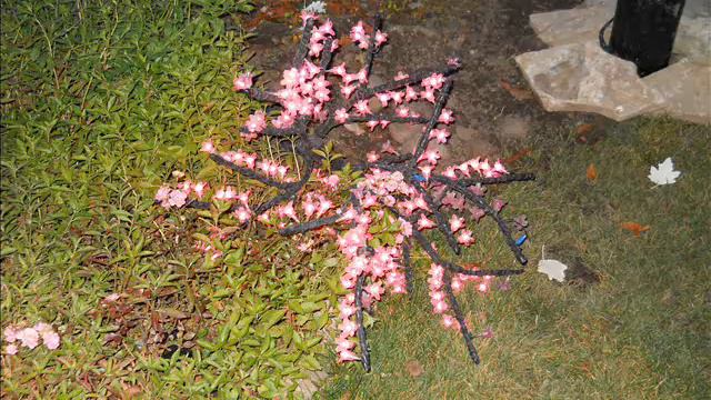 парк Сады Мечты г. Абакан октябрь 2010 год смотреть онлайн