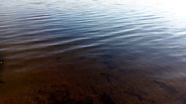 15.06.2022 г. в день открытия рыбалки с лодки , поехал на Белоярское вдхр половил леща смотреть онлайн