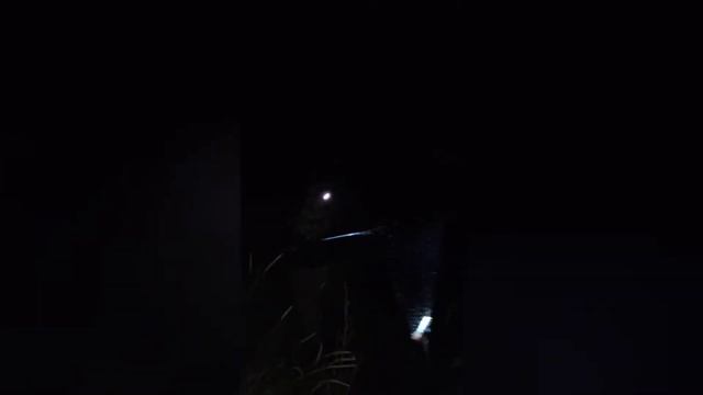 Отдых и совмещение с рыбалкой))) Рыбалка в Беларуси. смотреть онлайн
