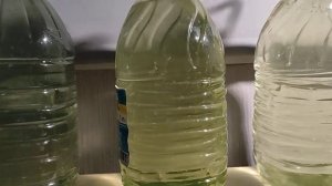 Суспензия хлореллы, размножаем дома