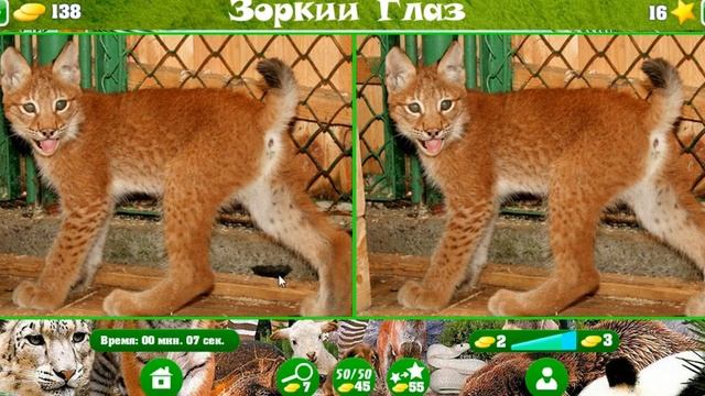 Зоркий глаз 11, 12, 13, 14, 15, 16, 17, 18, 19, 20 уровень Одноклассники смотреть онлайн