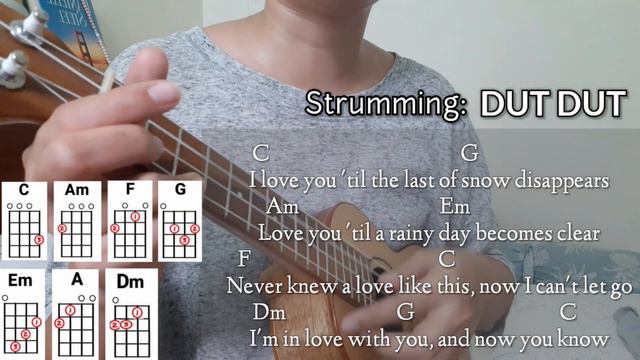 I Like You So Much, You'll Know It - Ukulele Tutorial| Cover смотреть онлайн