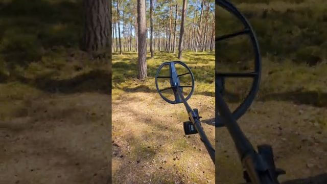 Nokta Invenio - совсем скоро тест и обзор! смотреть онлайн