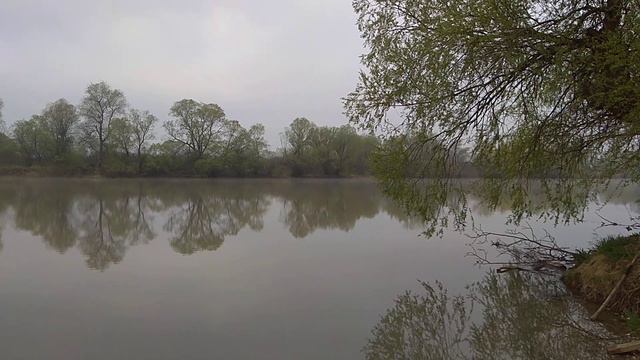 Вот почему бегать лучше без музыки смотреть онлайн