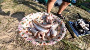 РЫБАЛКА И ОТДЫХ СЕМЬЕЙ НА ОБСКОМ ВОДОХРАНИЛИЩЕ. 2/2ч