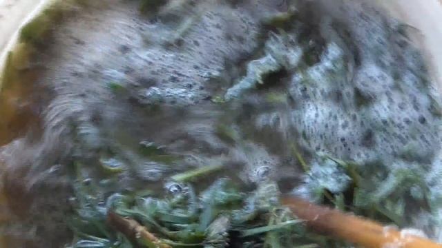 Der weltbeste Dünger für Jungpflanzen Kostenlos selber machen смотреть онлайн