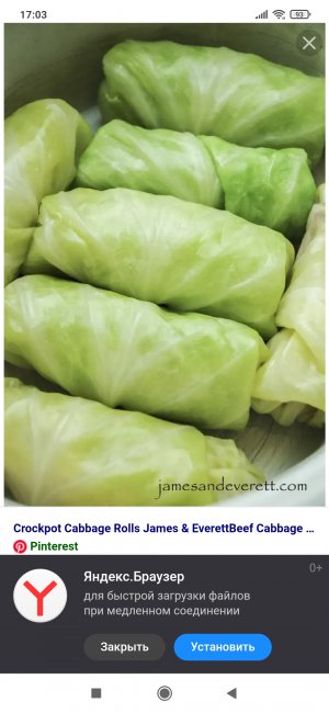 15_Голубцы-замороженные-всегда-под-рукой-Готовим-быст.mp4