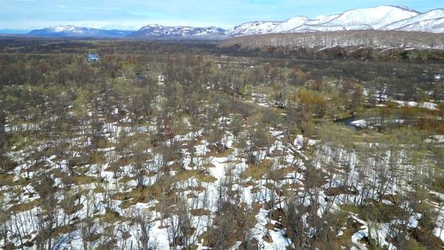 Камчатка, река Паратунка, по дороге на сопку Бархатная, май 2023 г. Часть 2 смотреть онлайн