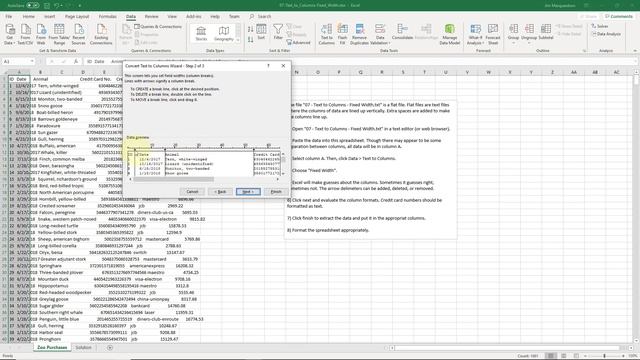 Excel-07 - Text to Columns - Fixed Width смотреть онлайн