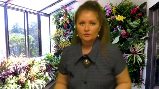 Чакры и энергетика человека. Чистка и наполнение энергией. смотреть онлайн