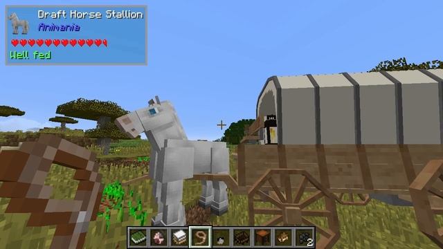 Animania 1.12.2 #4 смотреть онлайн