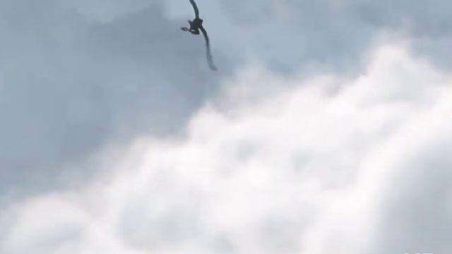 беззубик и иккинг - никогда не к кому не привязывайся стих. смотреть онлайн