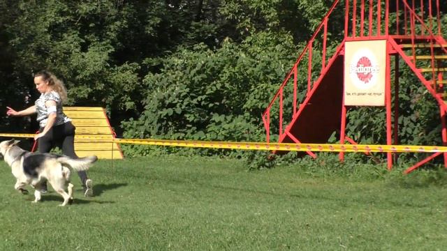 Суки открытого класса