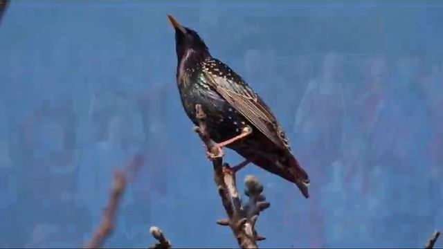 19 октября 2023 г. смотреть онлайн