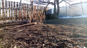 Ловля  птиц на тайник и на западок.