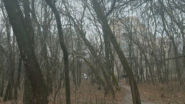 Славянск 17 декабря 2022 По улицам города смотреть онлайн