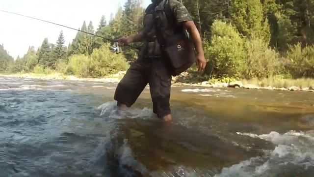Ловля ручьевой форели в горной реке Карпат (лето 2014г) смотреть онлайн