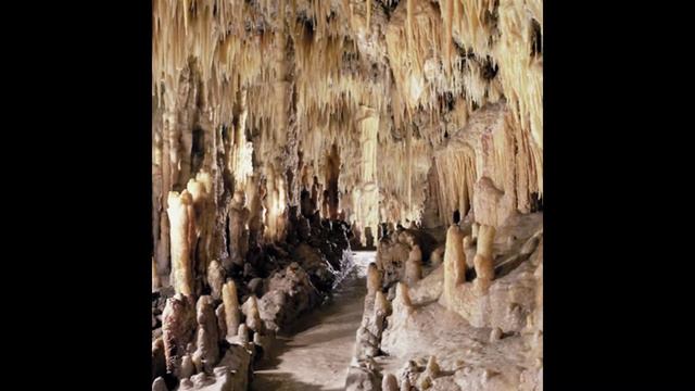 Подземная жизнь смотреть онлайн