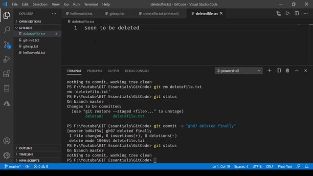 GIT Delete смотреть онлайн