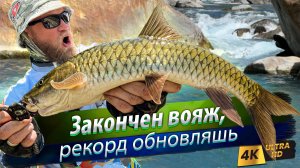 Поверхностные приманки. Жирный трофей взят!