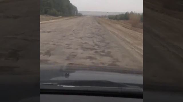 Дороги в Воронежской области смотреть онлайн