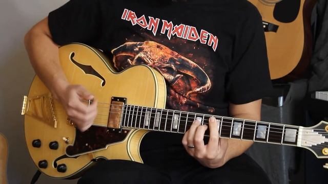 New Guitar Day!!! D'angelico Excel SS смотреть онлайн