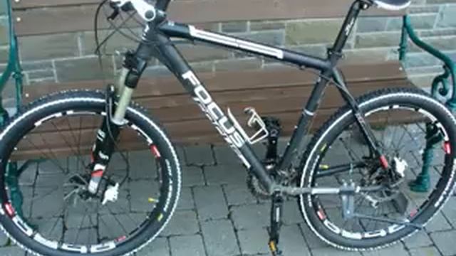 Mein focus black forest смотреть онлайн