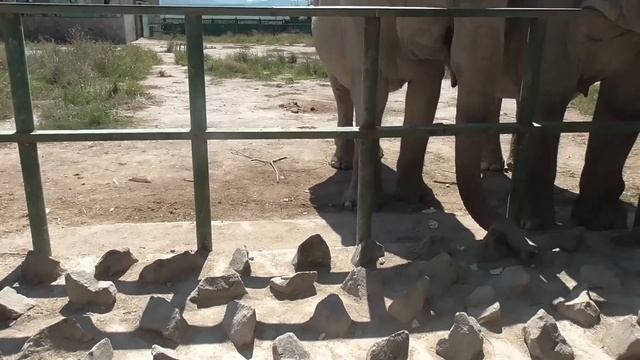 Однажды после ссоры Дженни и Магды пришлось вызывать МЧС! смотреть онлайн