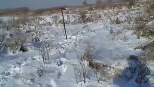 ЛОВЛЯ ЧЕРНОГОЛОВОГО ЩЕГЛА (ЗИМНИКА) НА ДУПЛЕТ смотреть онлайн