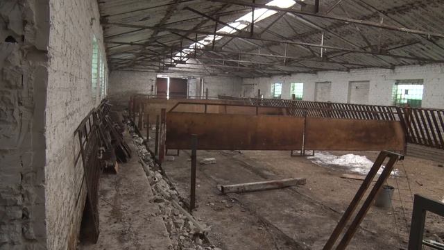 2021/03 – Тоггенбургские козы приедут в «Авангард» смотреть онлайн