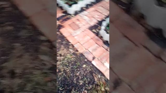Дорожка из кирпича своими руками смотреть онлайн