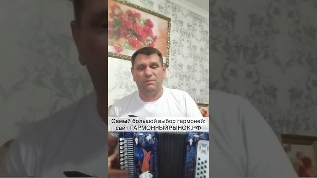 Самая душевная песня на гармошке смотреть онлайн