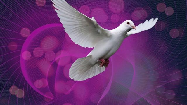 Bach - Ave Maria - Piano and Cello смотреть онлайн