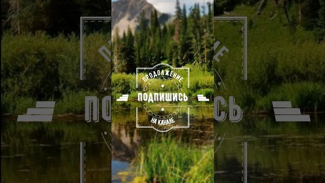 ?Настроение у него было необычное... #shorts смотреть онлайн