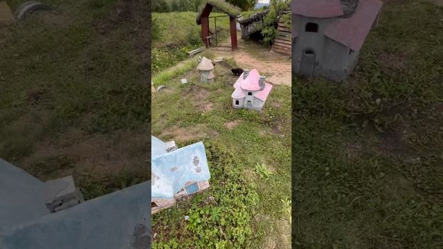 ЧЁРНАЯ КОШКА приносит удачу. Согласны? ?⬛ смотреть онлайн