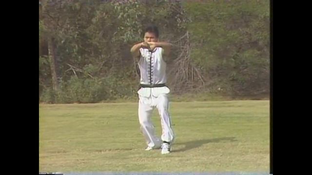 Чой Ли Фут - форма Пять животных смотреть онлайн