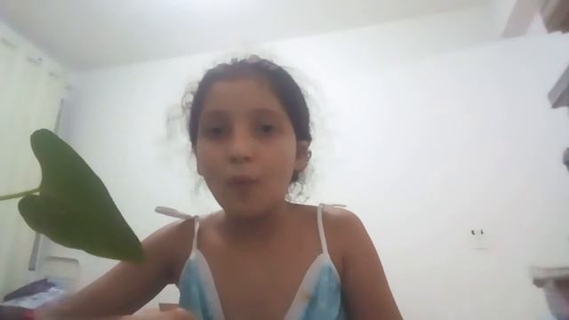 educação não agressiva por mayra Matos смотреть онлайн