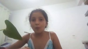 educação não agressiva por mayra Matos