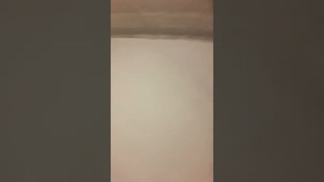 Первичный электромонтаж!) НОВОСТРОЙКА! смотреть онлайн