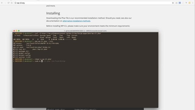 WP-CLI - Instalação e Configuração | Command line interface for WordPress смотреть онлайн