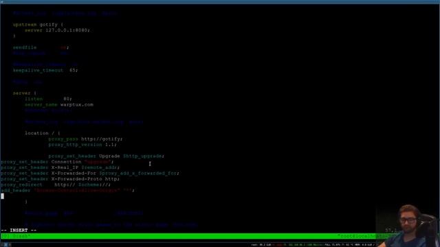 nginx: proxy pass and more смотреть онлайн